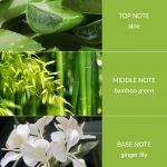 Bamboo and Ginger Lily Wax Melt - Brambles Gift Shop