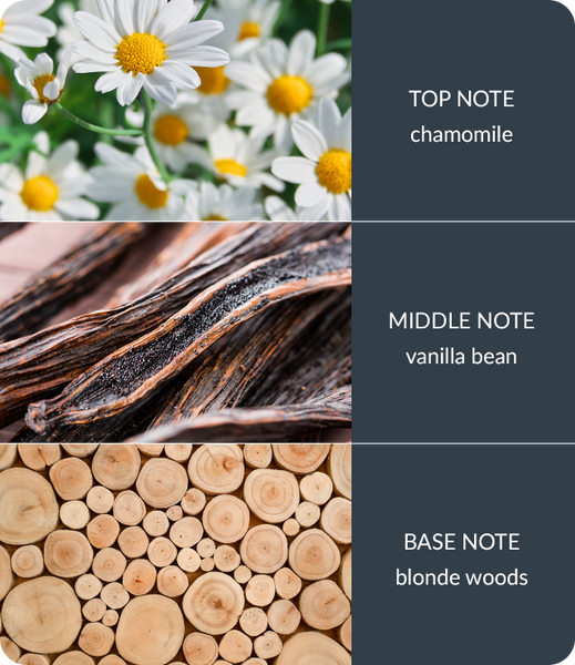 Vanilla and White Wood Wax Melt - Brambles Gift Shop
