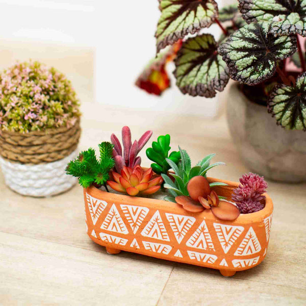 Terracotta Trough Planter - Brambles Gift Shop