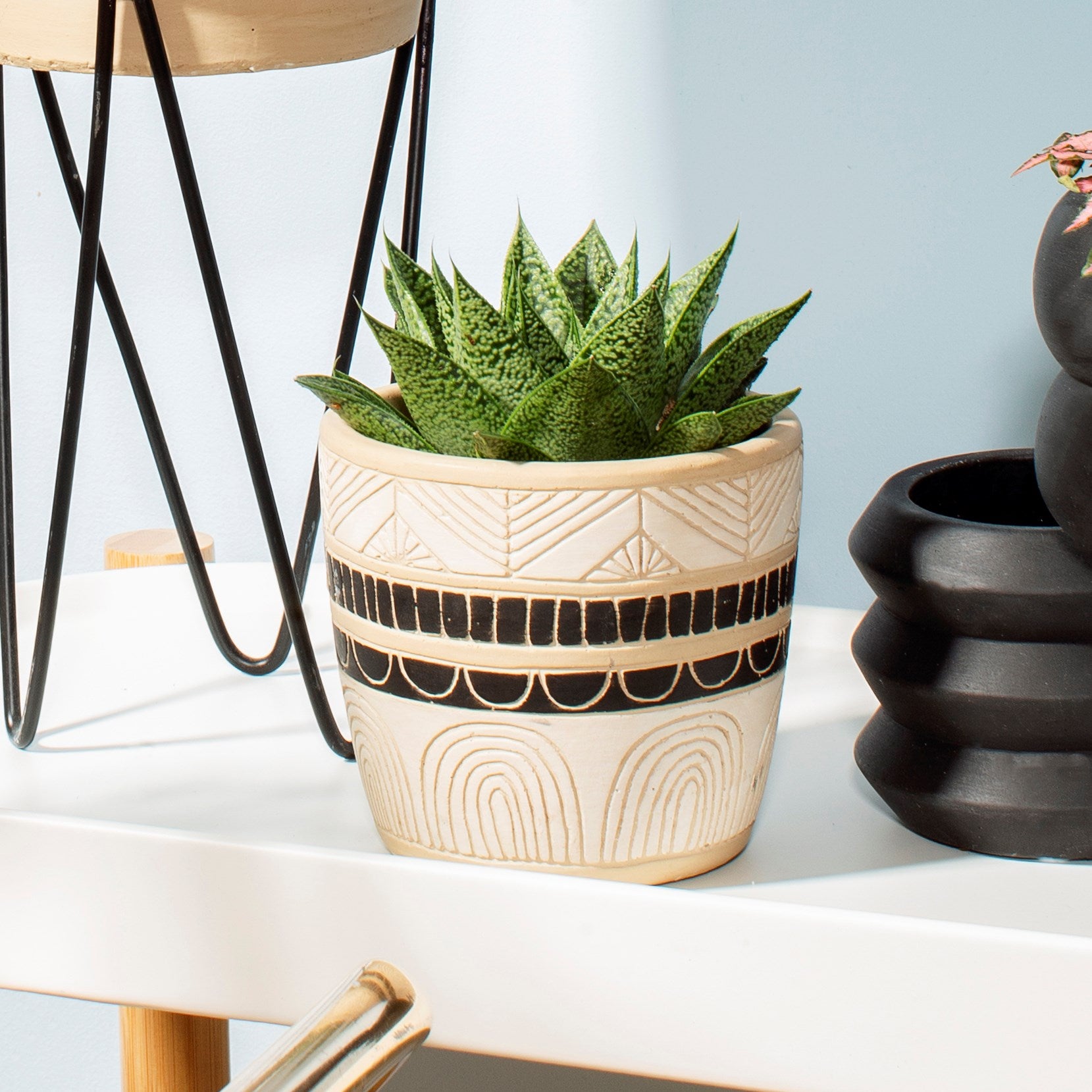 Black & White Sgraffito Planter - Brambles Gift Shop