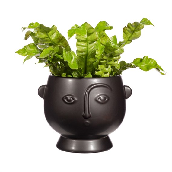 Matte Black Face Planter - Brambles Gift Shop