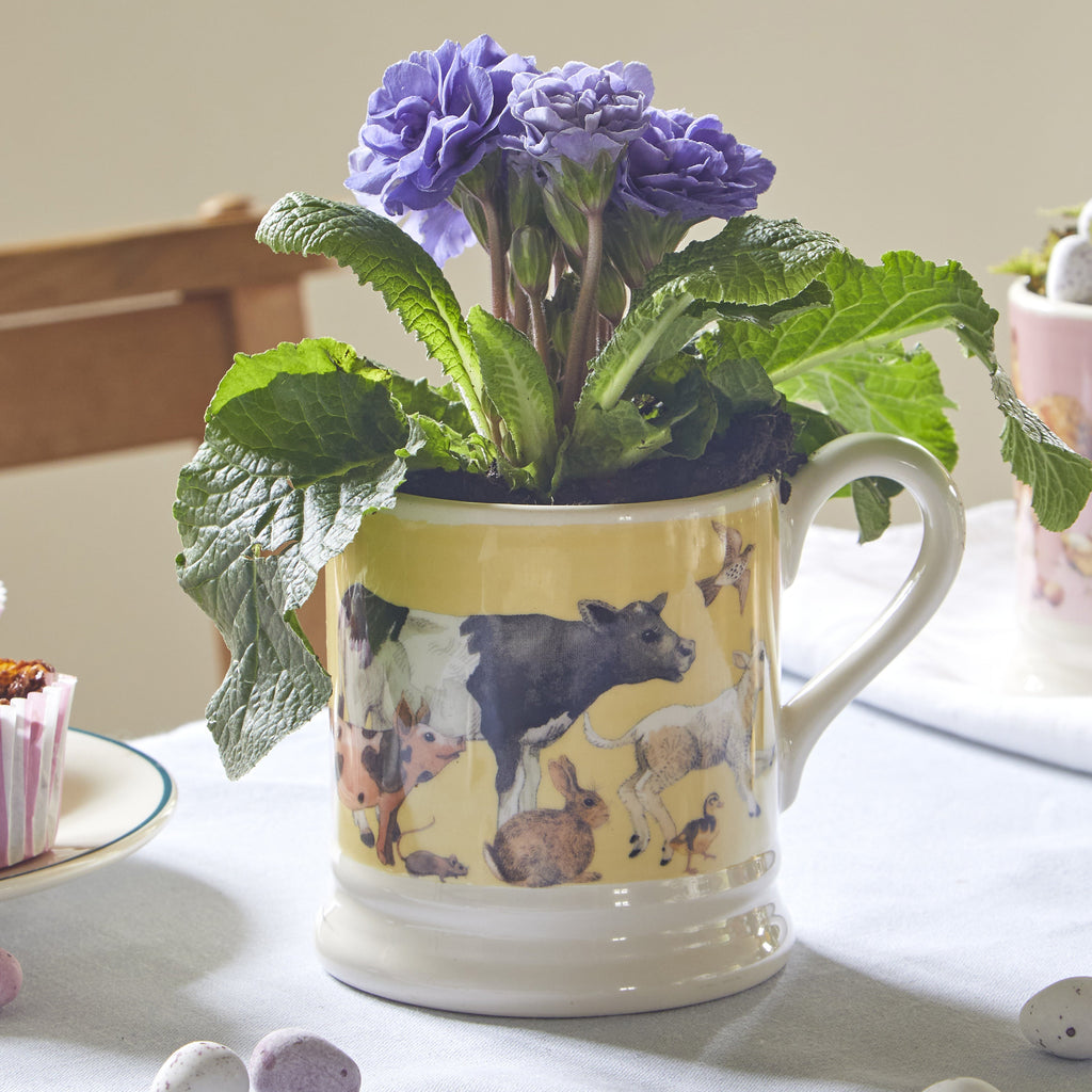 Bright New Morning 1/2 Pint Mug - Brambles Gift Shop
