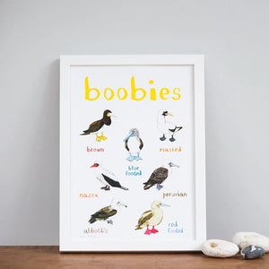 Boobies A4 Print - Brambles Gift Shop